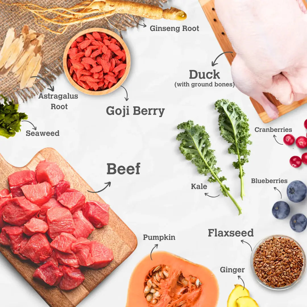 Beef & Duck Enrichment Recipe