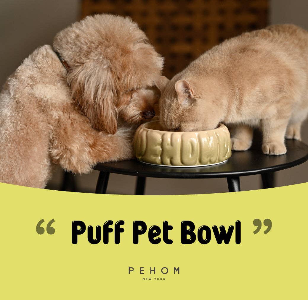 Puff Pet Bowl - Gradient Olive