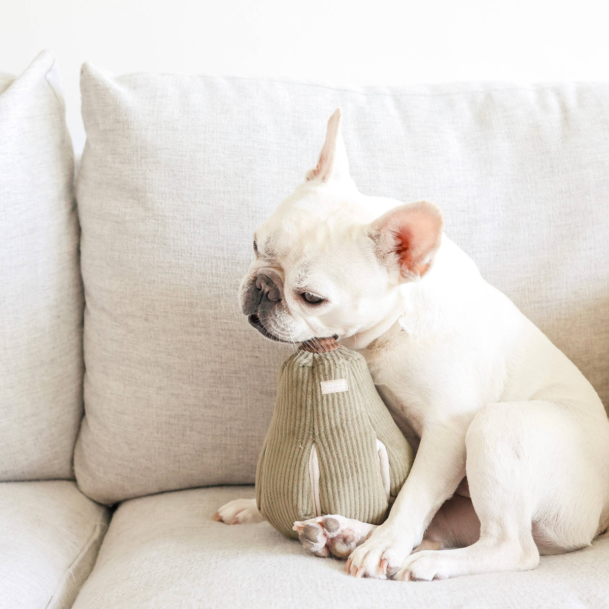Butternut Enrichment Snuffle Dog Toy