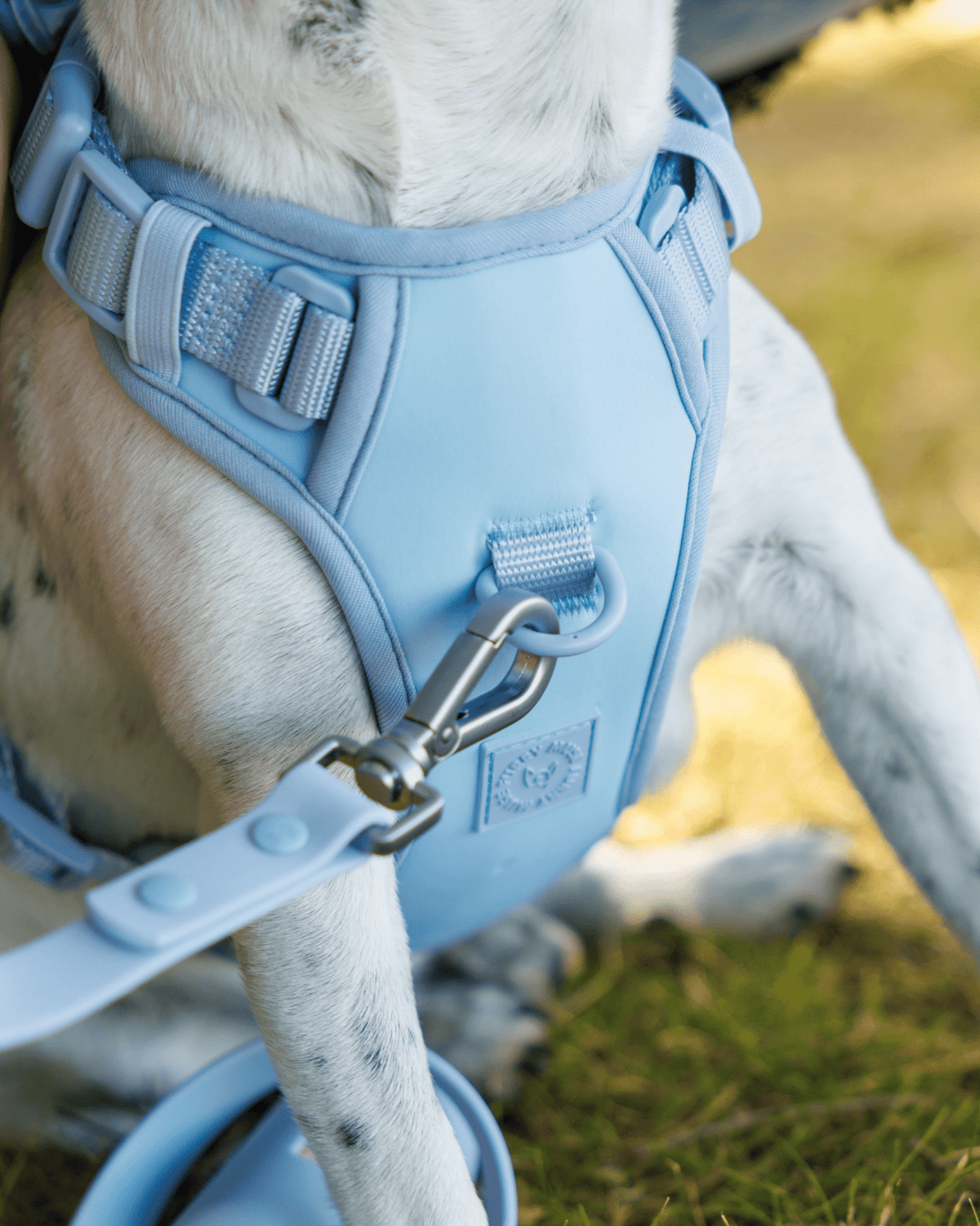 Wander! Bow Harness Sky