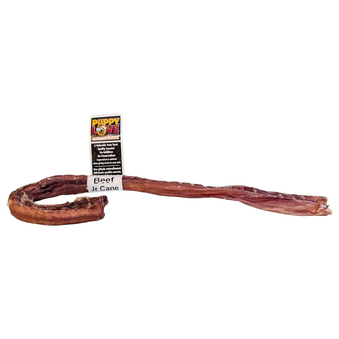 Jr Cane - 1 piece