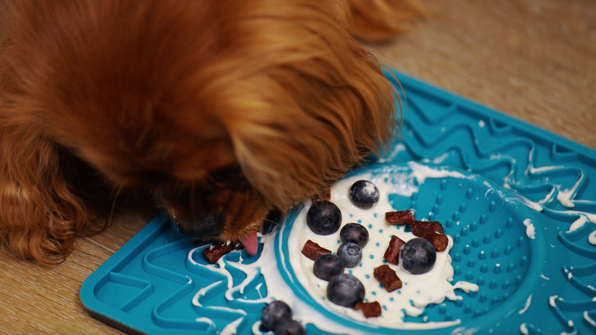 Bison Miniwags Treats For Dogs 100g/3.53 oz