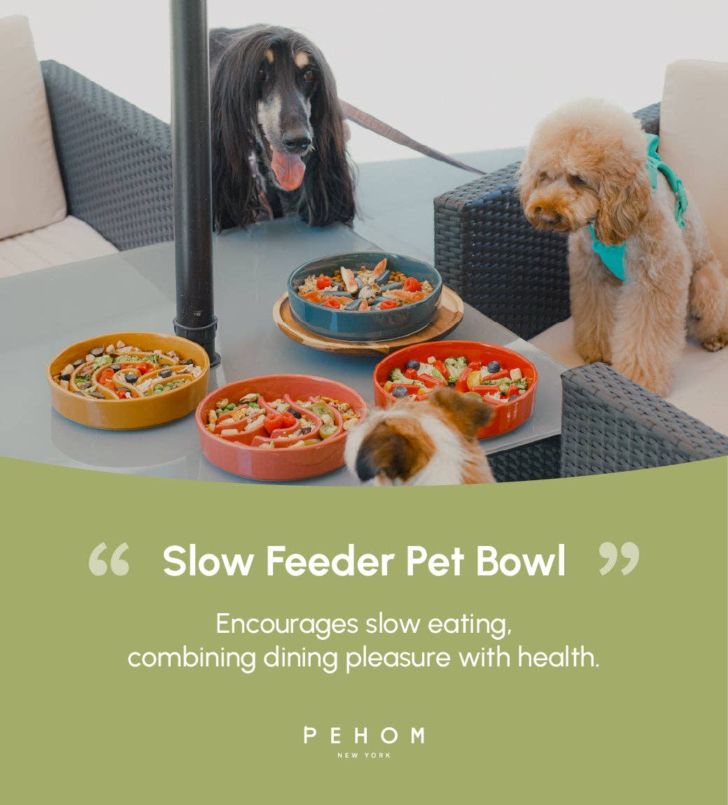 Slow Feeder Dog Bowl - Green