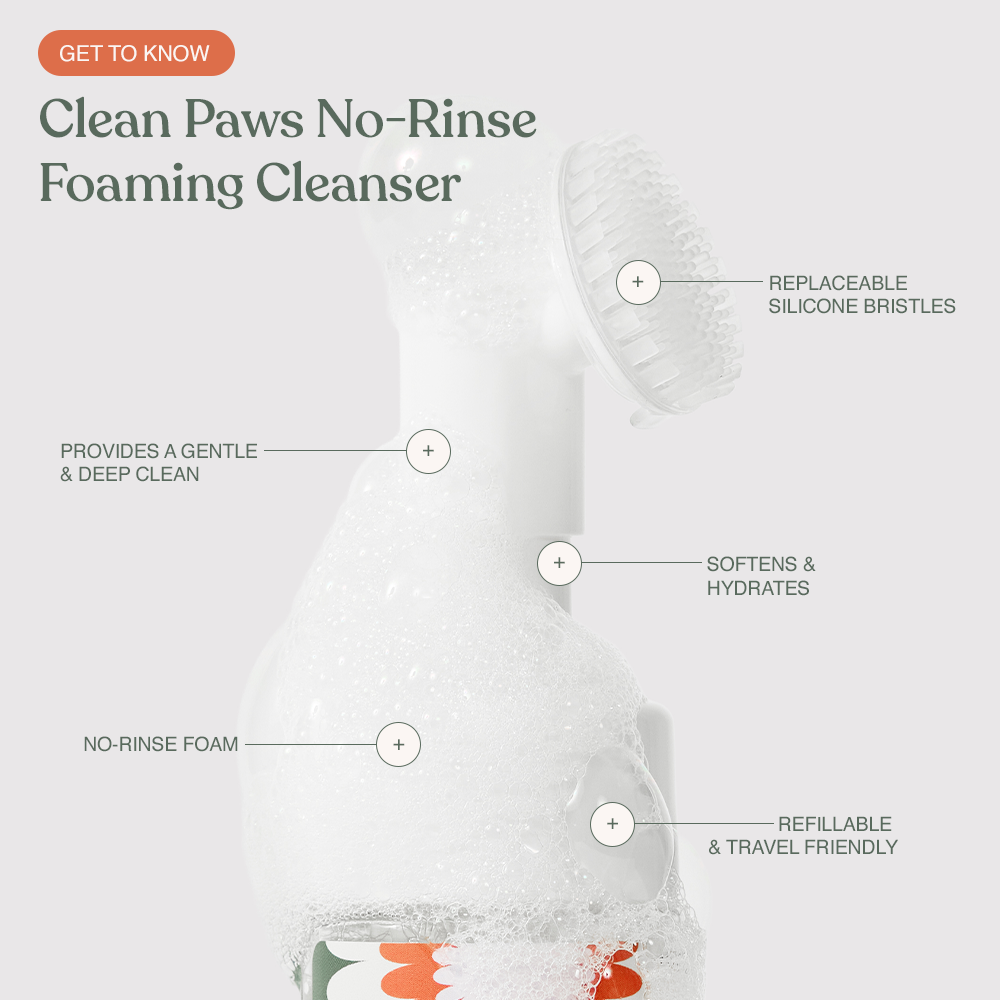 Clean Paws No-Rinse Foaming Cleanser