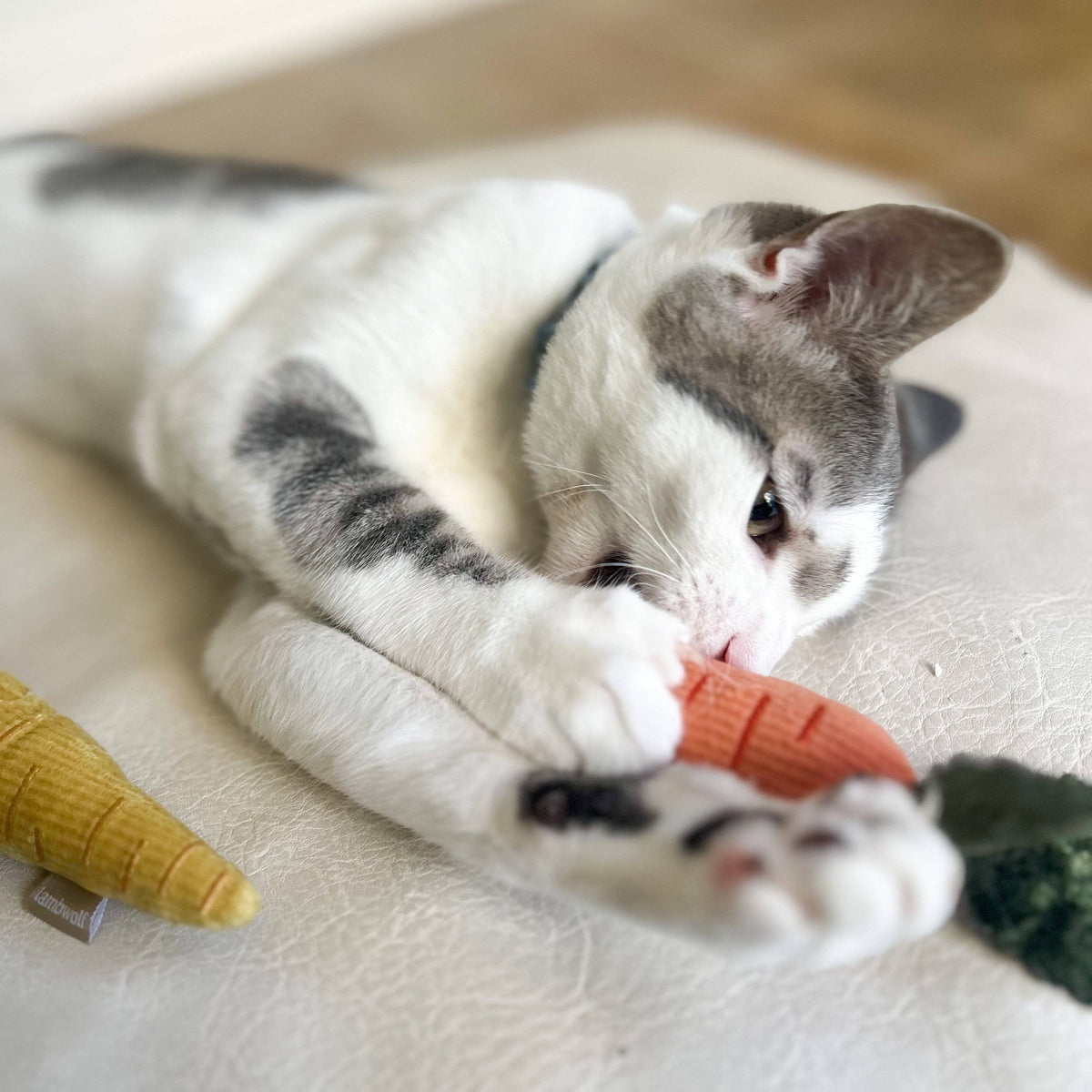 Kitty Baby Carrots Cat Toy Set