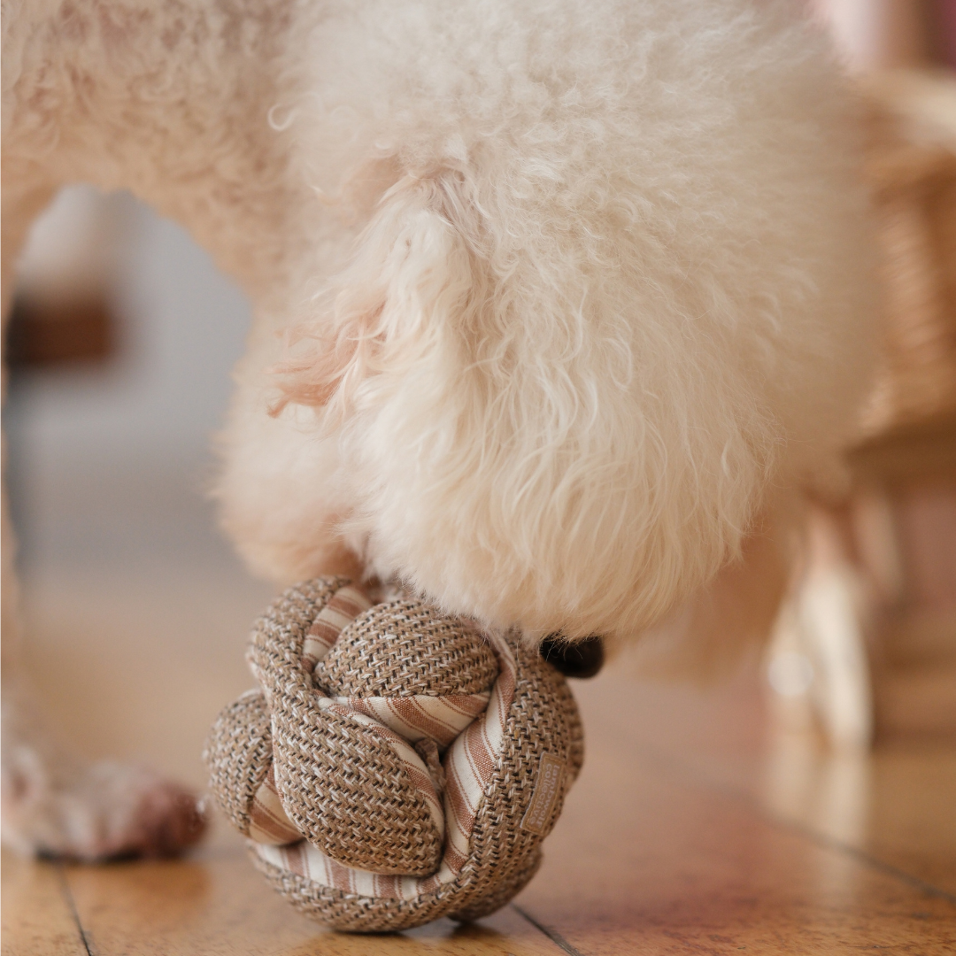 Mini Monti Enrichment Snuffle Dog Toy