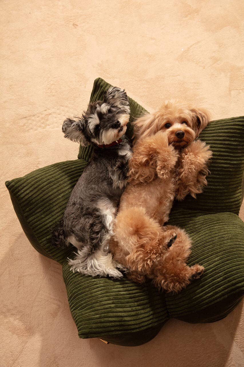 Cuddle Pet Pillow Bed