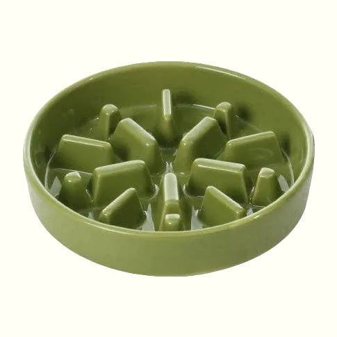 Slow Feeder Dog Bowl - Green