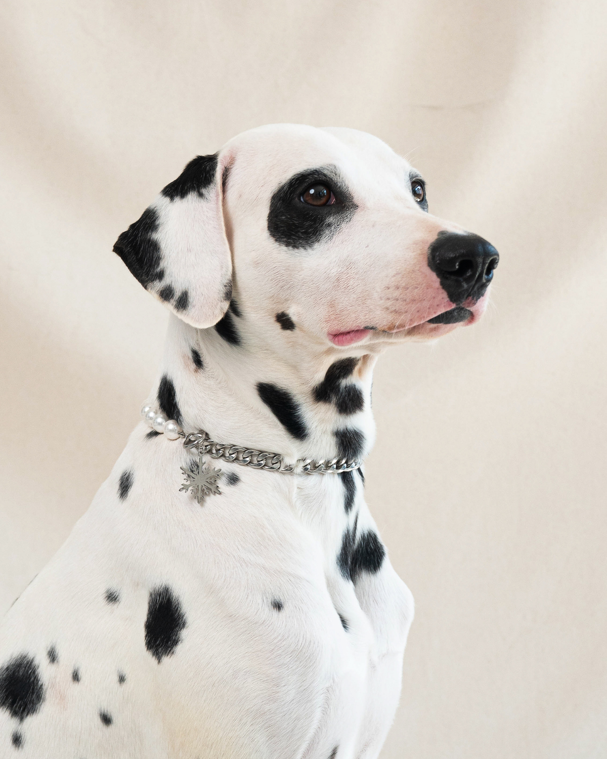 The Lola Necklace