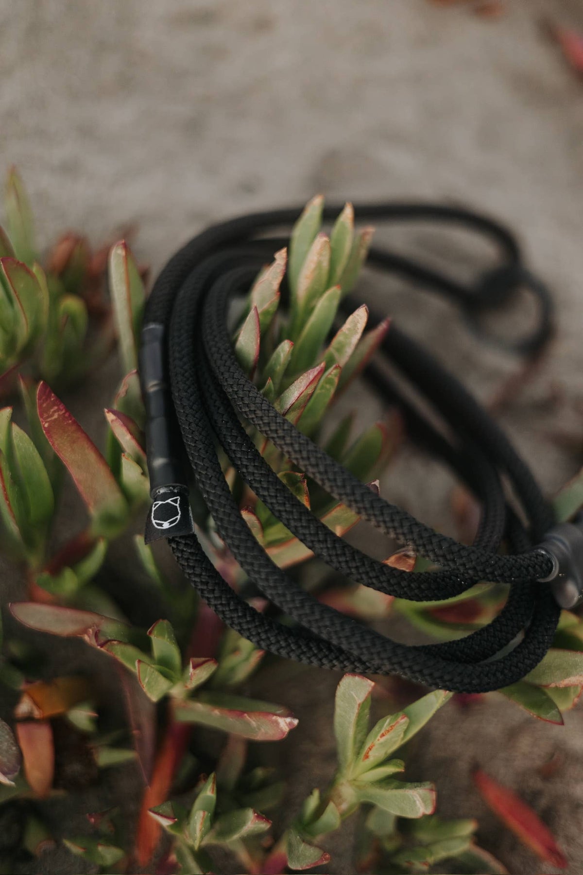 Ekko Leash - 6 FT - Black 7mm Climbing Rope