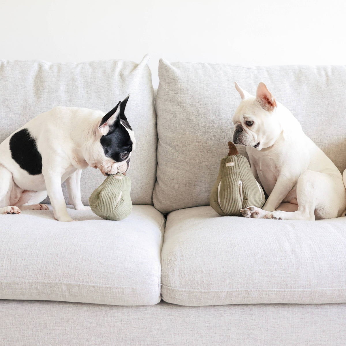 Butternut Enrichment Snuffle Dog Toy