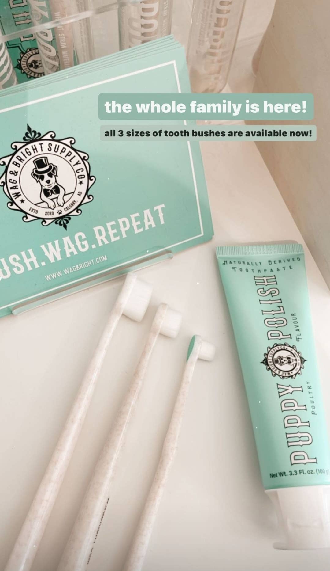Puppy Polisher Pearl Eco Toothbrush - Pearl (XS)