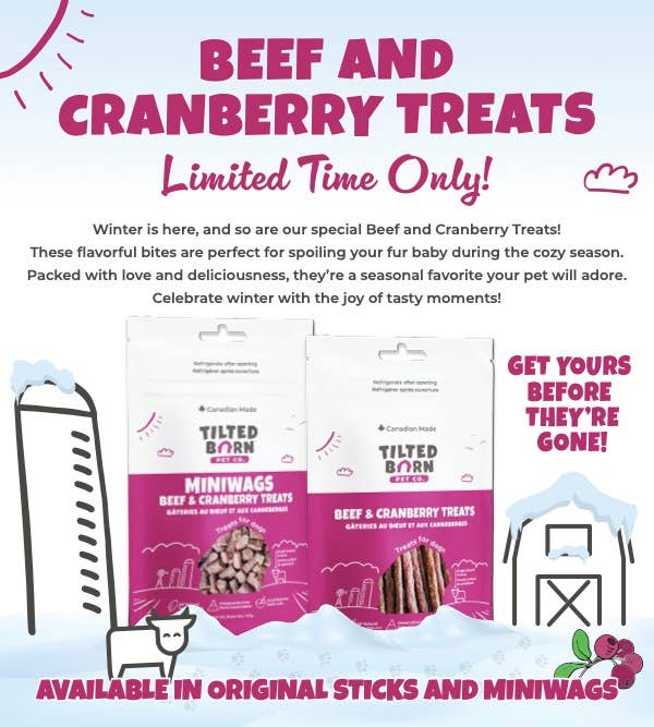 Beef and Cranberry Miniwags 100g/3.53oz Treats For Dogs