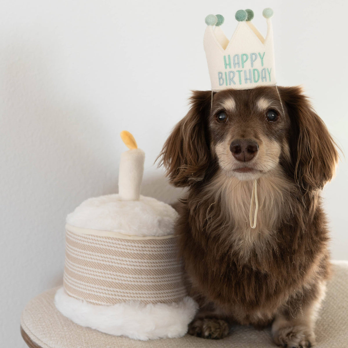 Birthday Cake Snuffle Burrow Toy Set