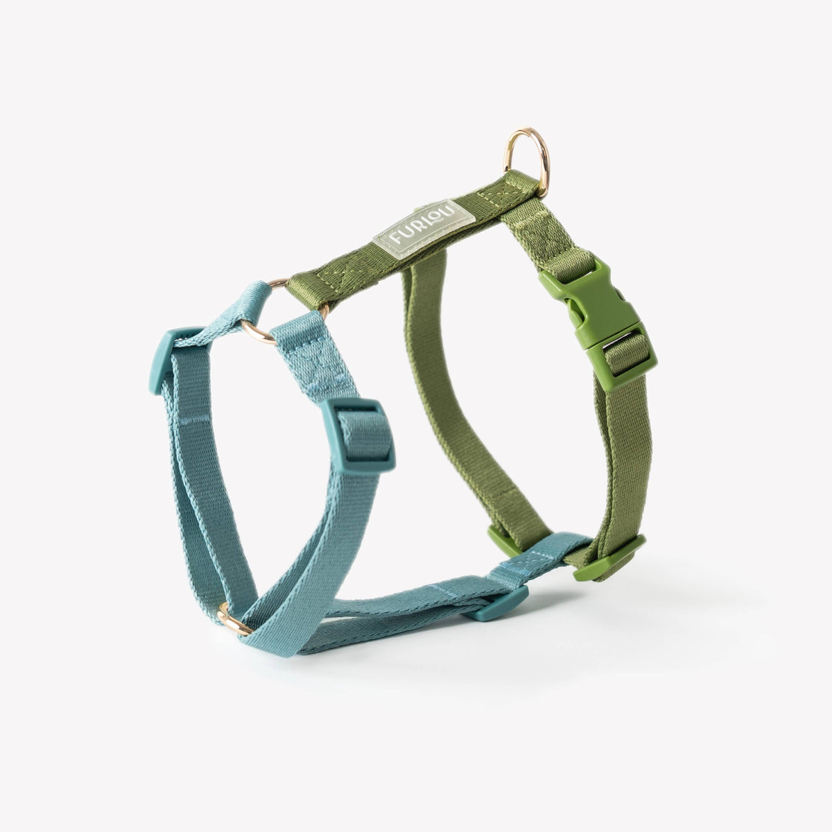 Harness - Blue + Green
