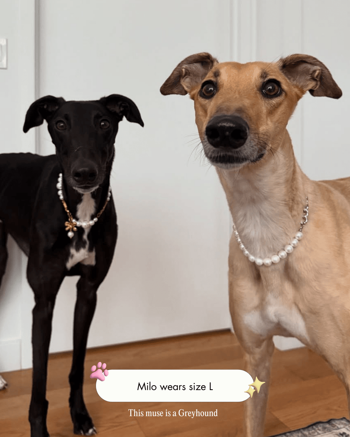 The Lola Necklace
