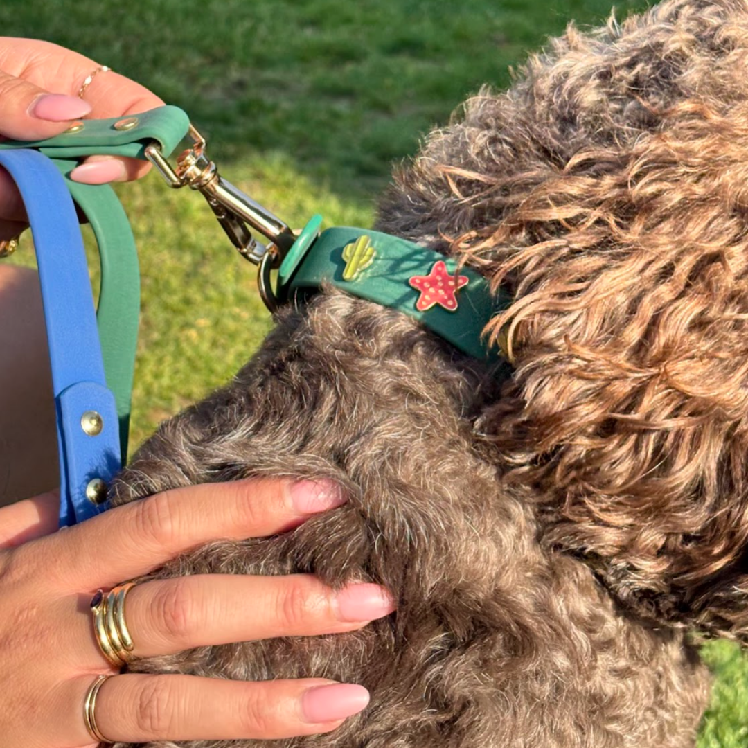 Moodies Collar