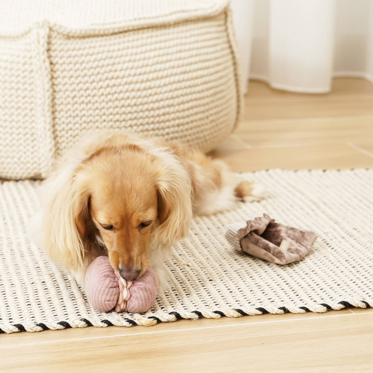 Petite Enrichment Snuffle Burrow Set Toy
