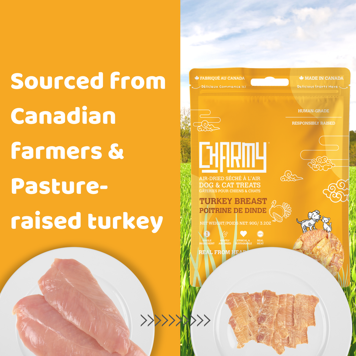 Turkey Breast - 90g / 3.2oz