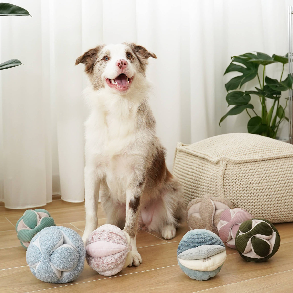 Monti Enrichment Silent Snuffle Dog Toy - Pine