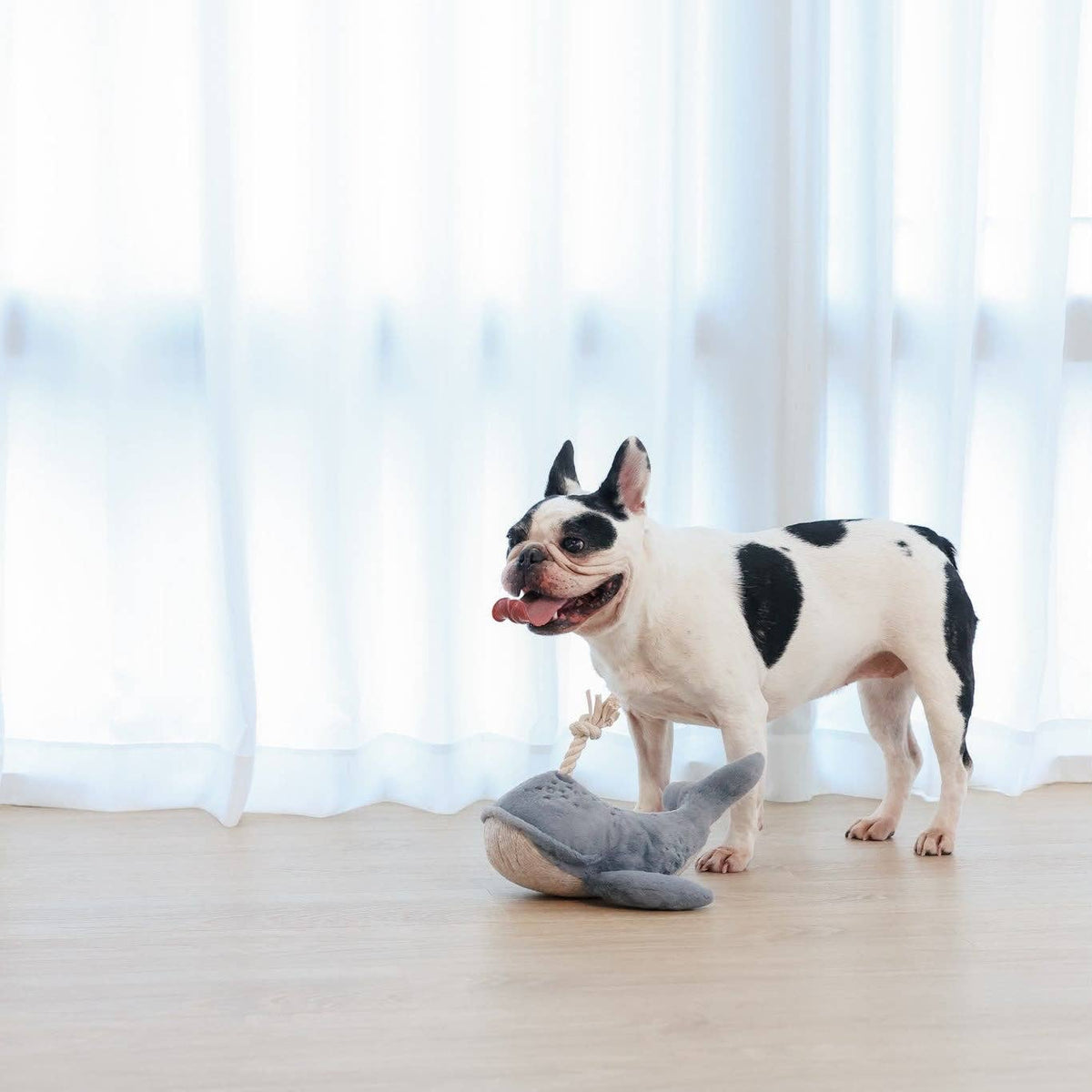 Wally the Whale Squeaky Cuddle Dog Toy