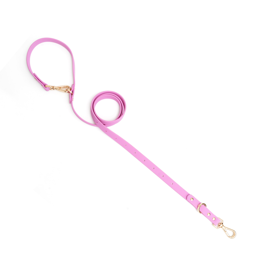 Moodies Leash