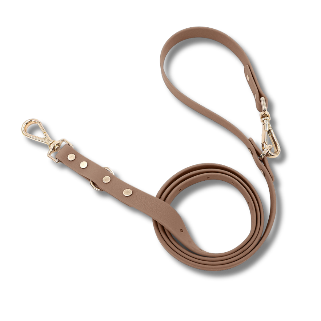 Moodies Leash