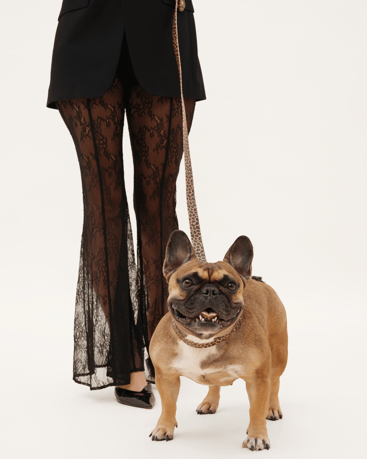Wander! Multiway Leash - Leopard