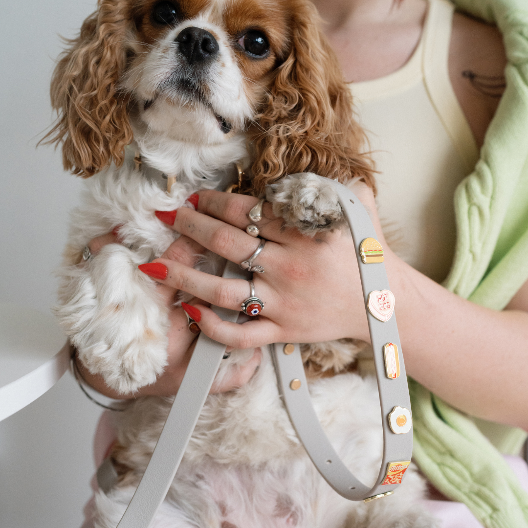 Moodies Leash