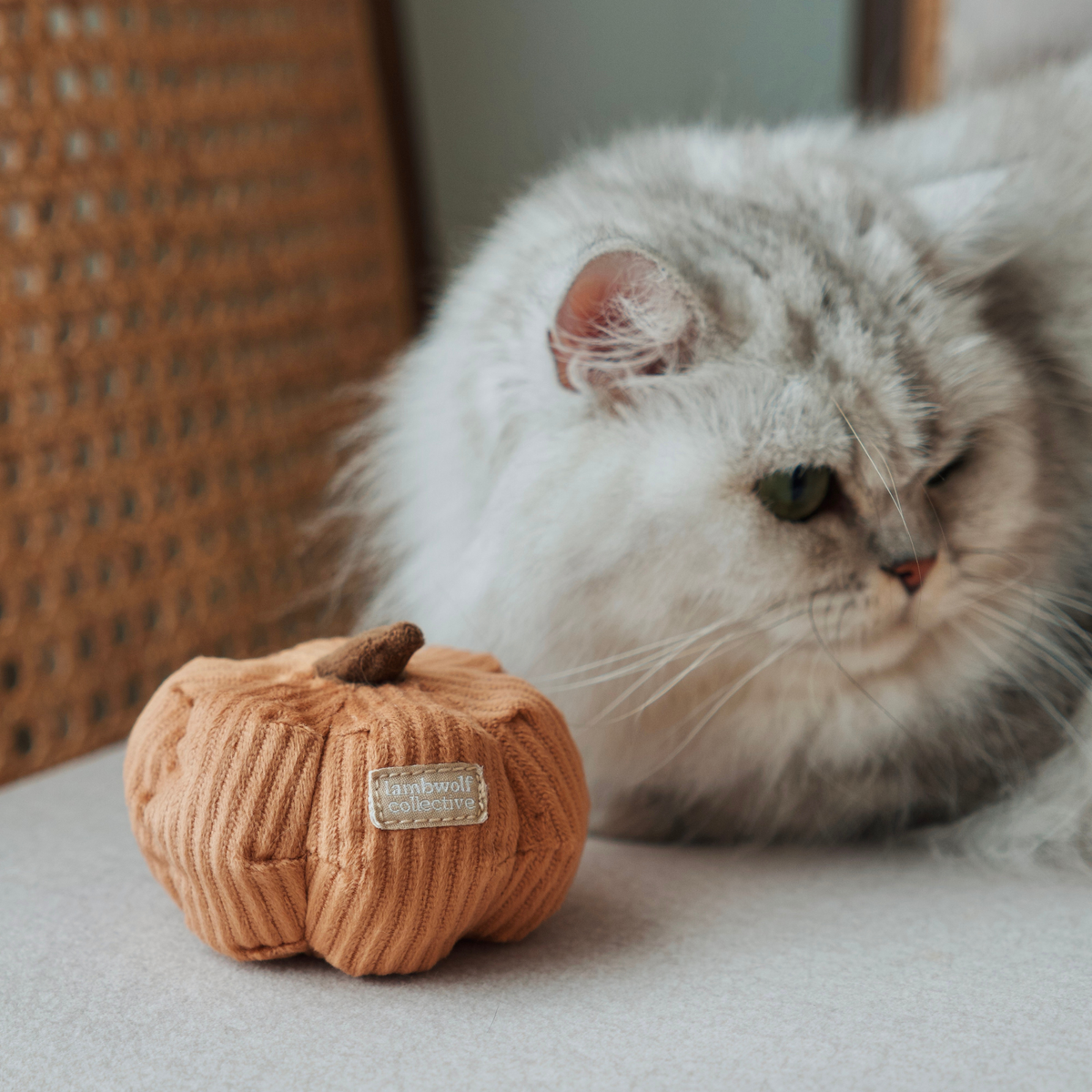 Kitty Veggie Snuggle Cat Toy Set