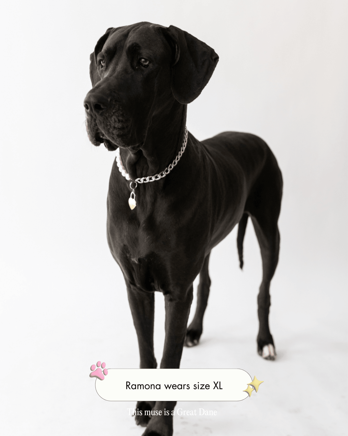 The Lola Necklace