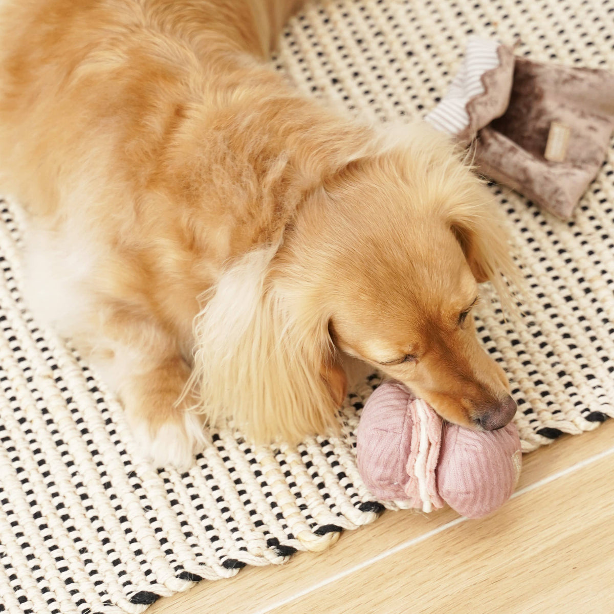 Petite Enrichment Snuffle Burrow Set Toy