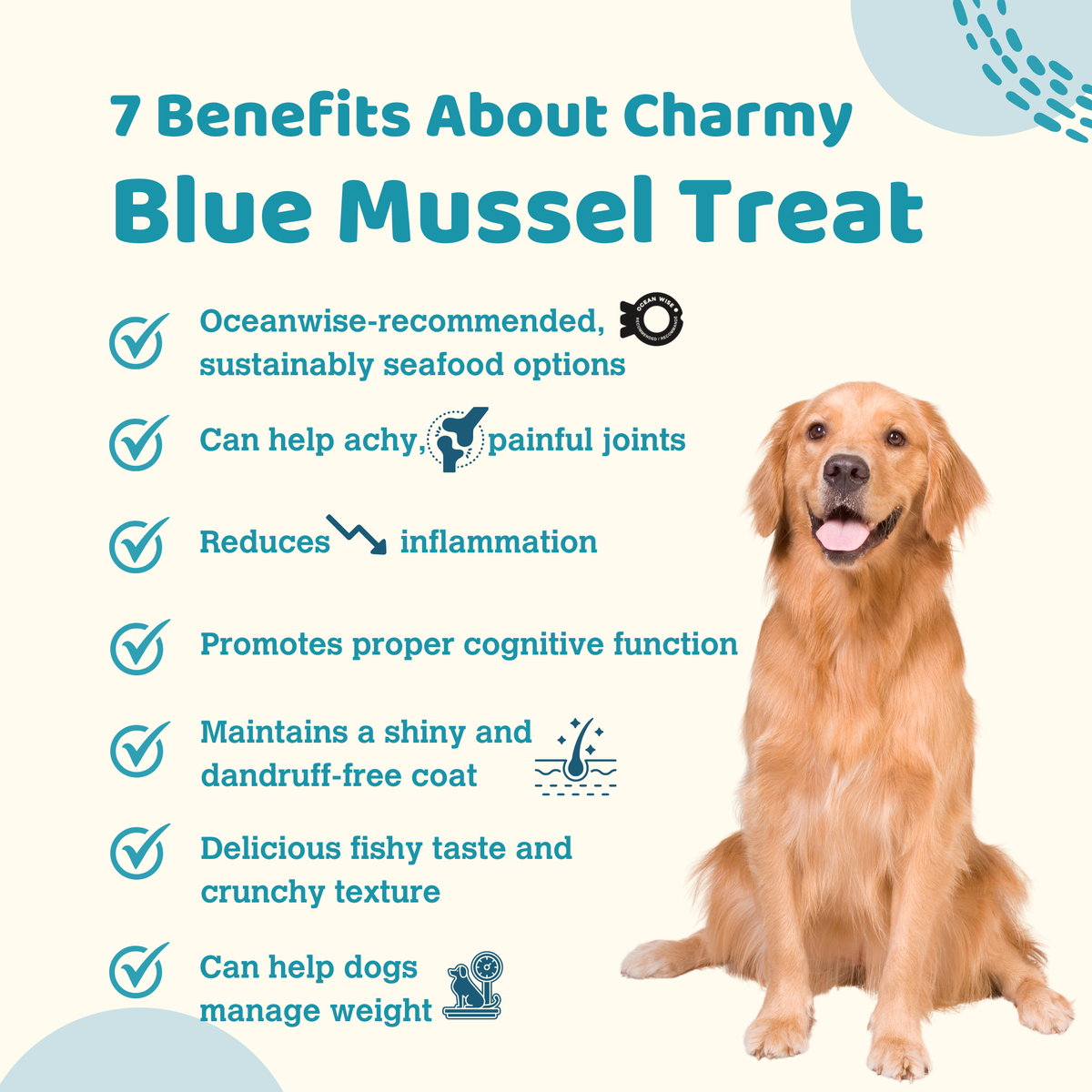 Blue Mussel - 180g / 6.3oz