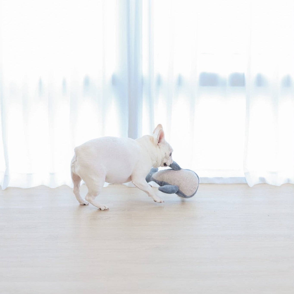 Wally the Whale Squeaky Cuddle Dog Toy