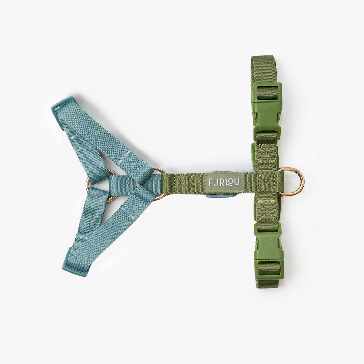 Harness - Blue + Green