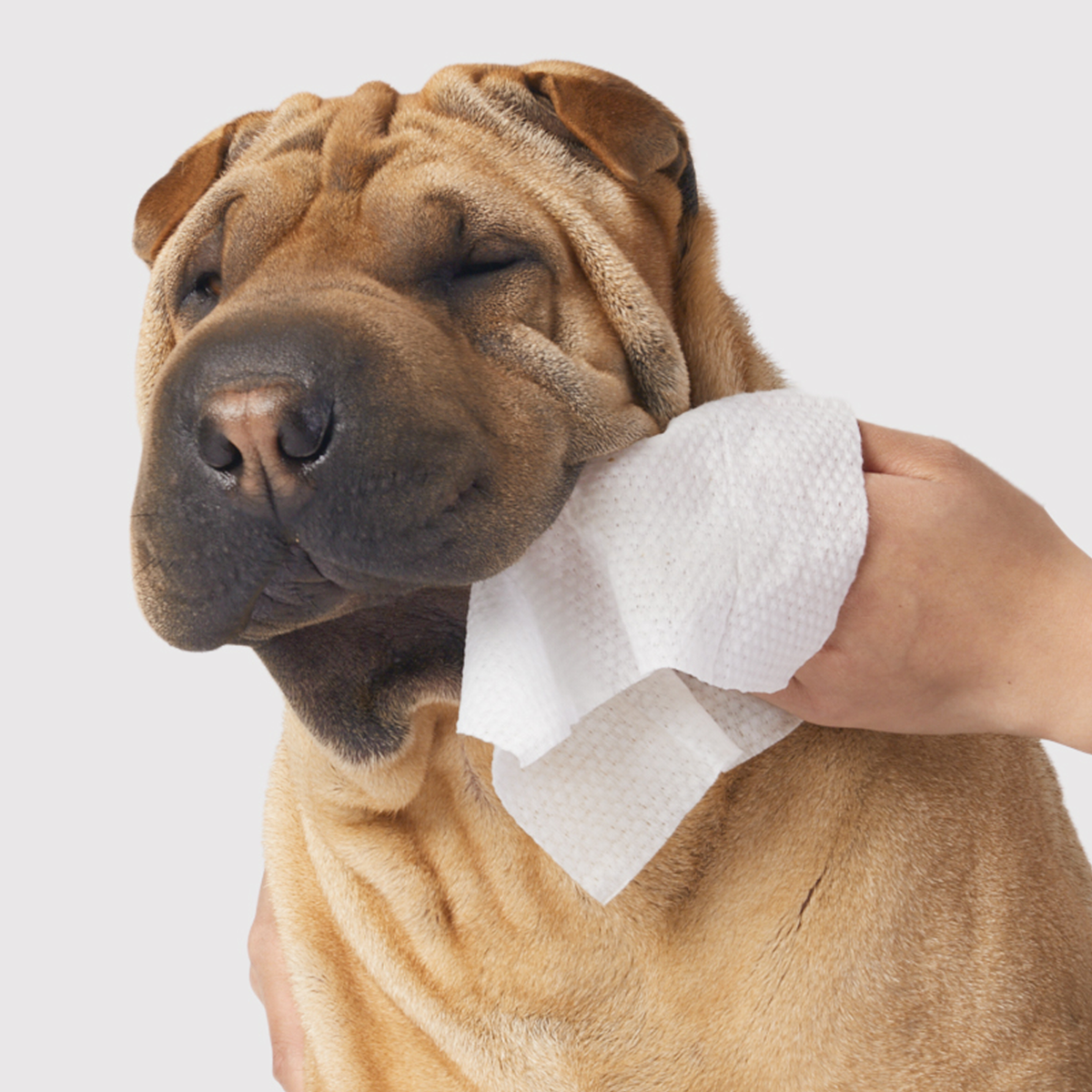 Gentle Cleanse Dog Wipes - 90 Wipes