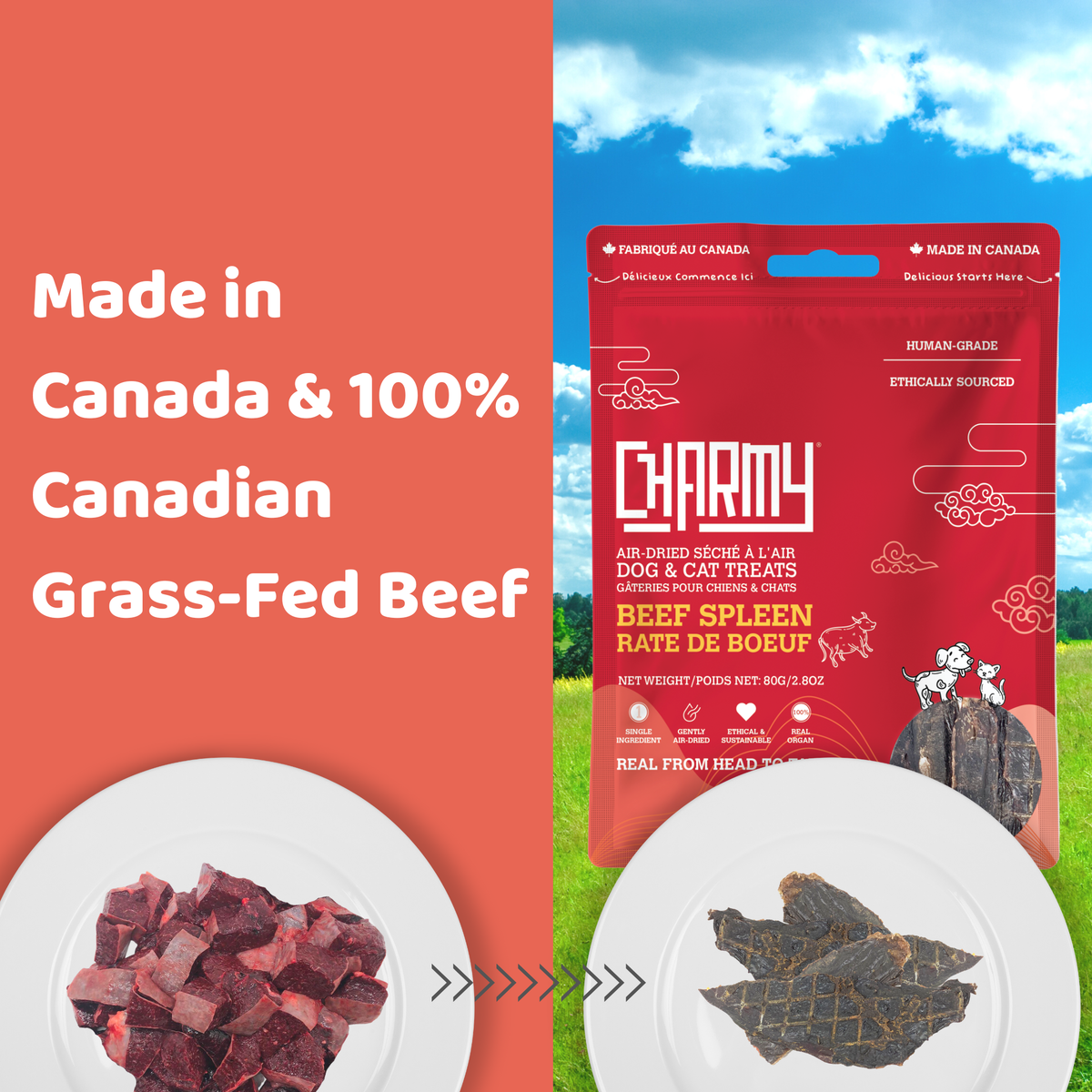 Beef Spleen - 80g / 2.8oz