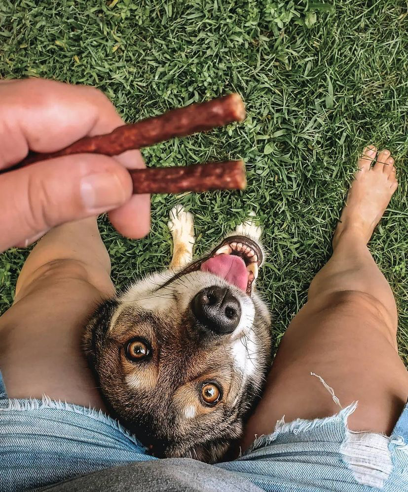 Beef Treats For Dogs 100g/3.53oz