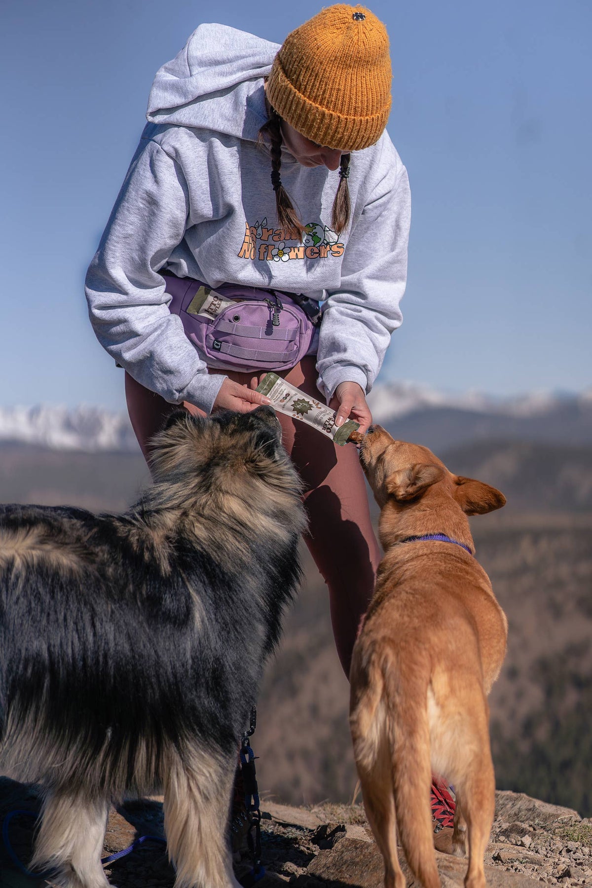 Adventure Pack - Brown