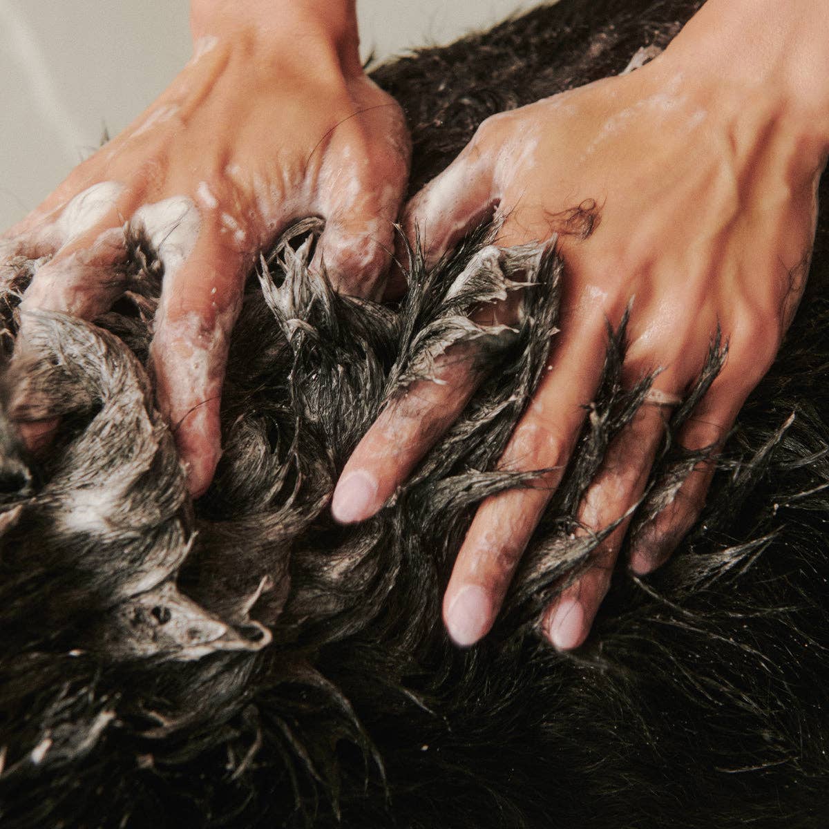 Soothe Gentle Dog Shampoo