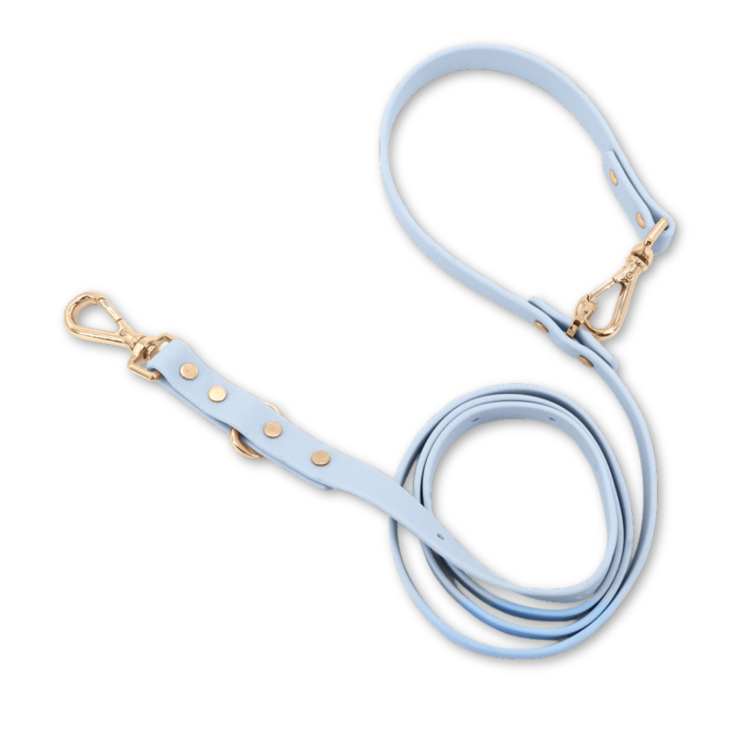Moodies Leash