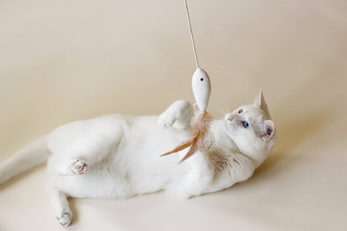 Golden Fish Cat Toy