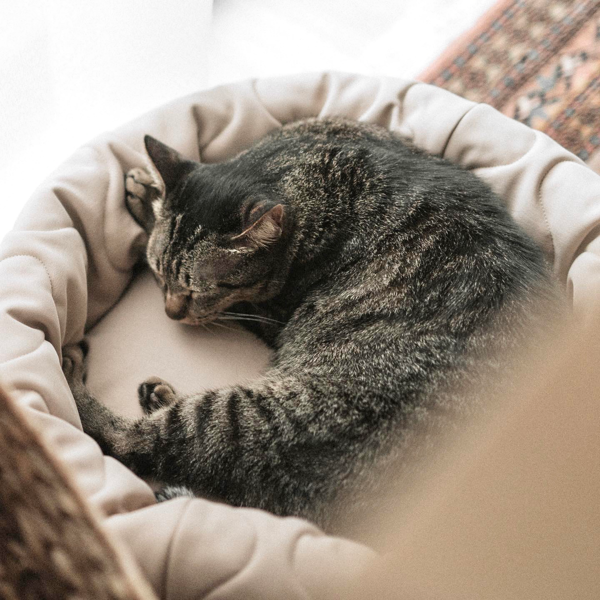 Taart Reversible Dog & Cat Bed - Petite