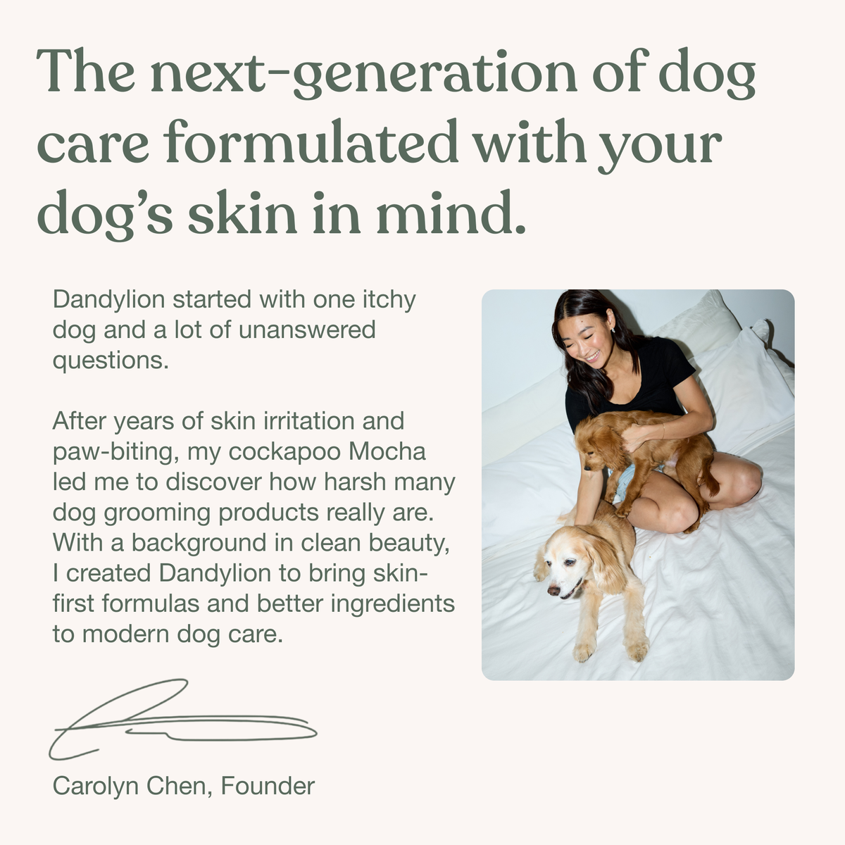 Gentle Cleanse Dog Wipes - 90 Wipes