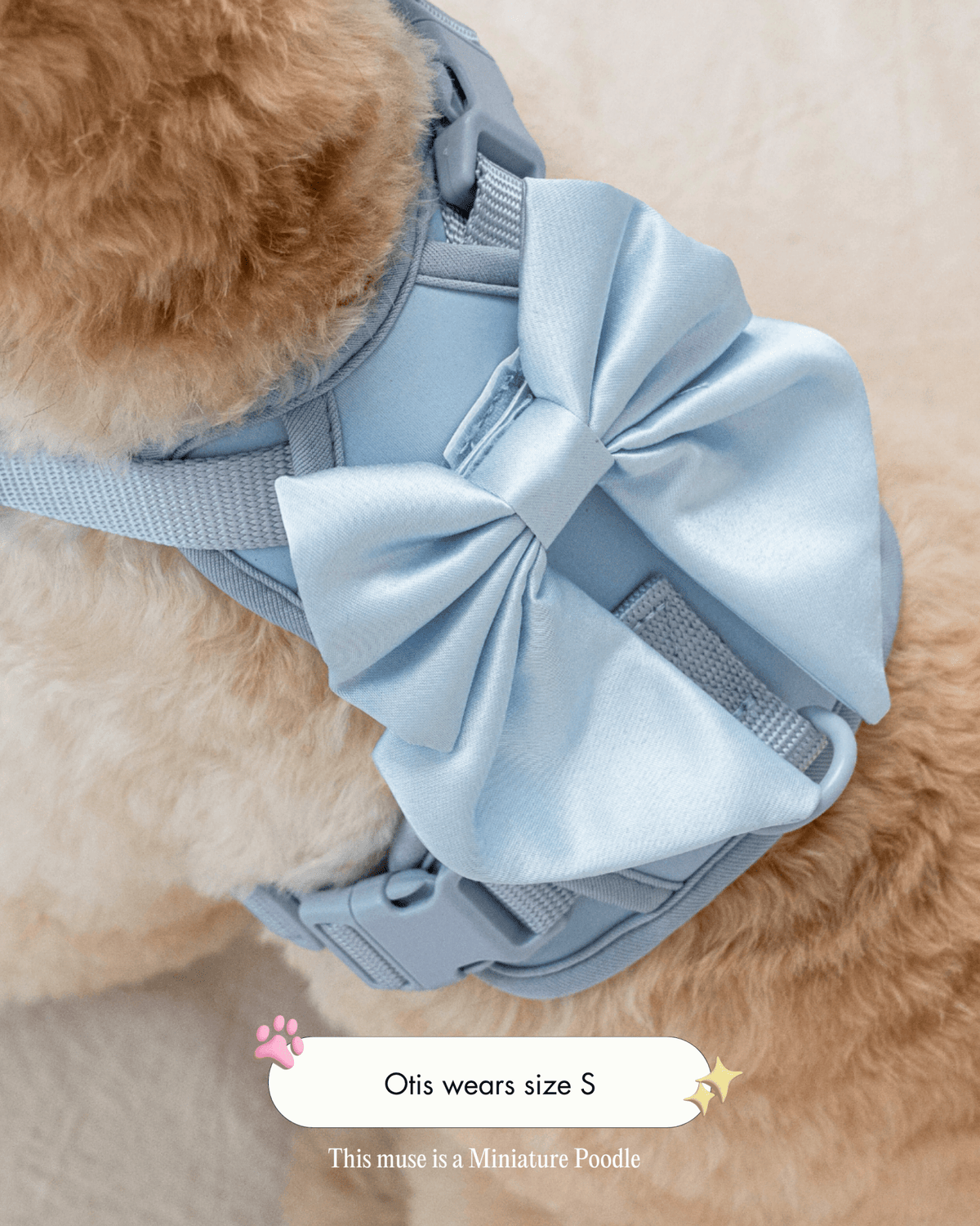 Wander! Bow Harness Sky