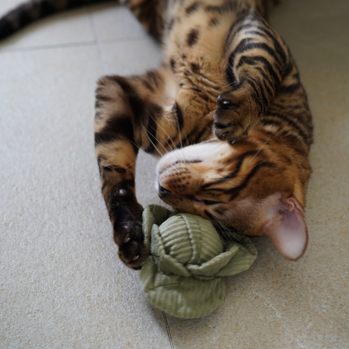 Kitty Veggie Snuggle Cat Toy Set