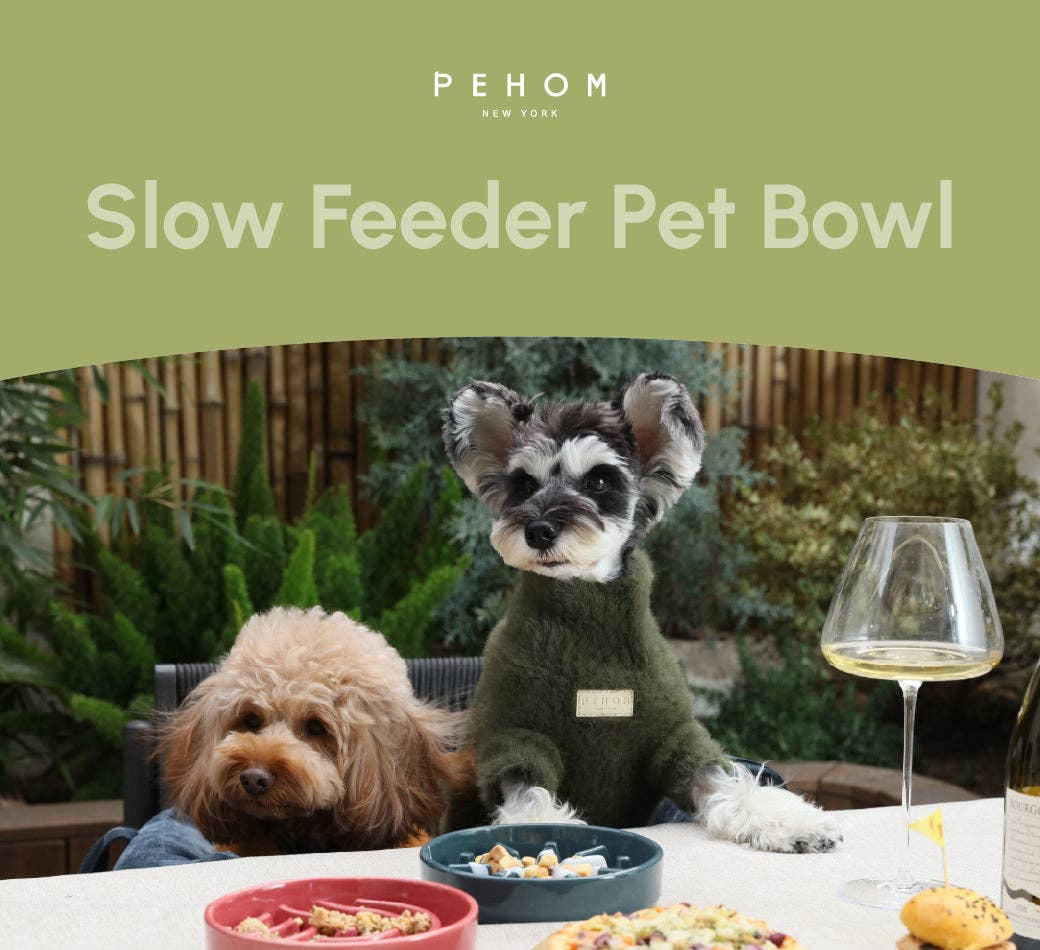 Slow Feeder Dog Bowl - Green