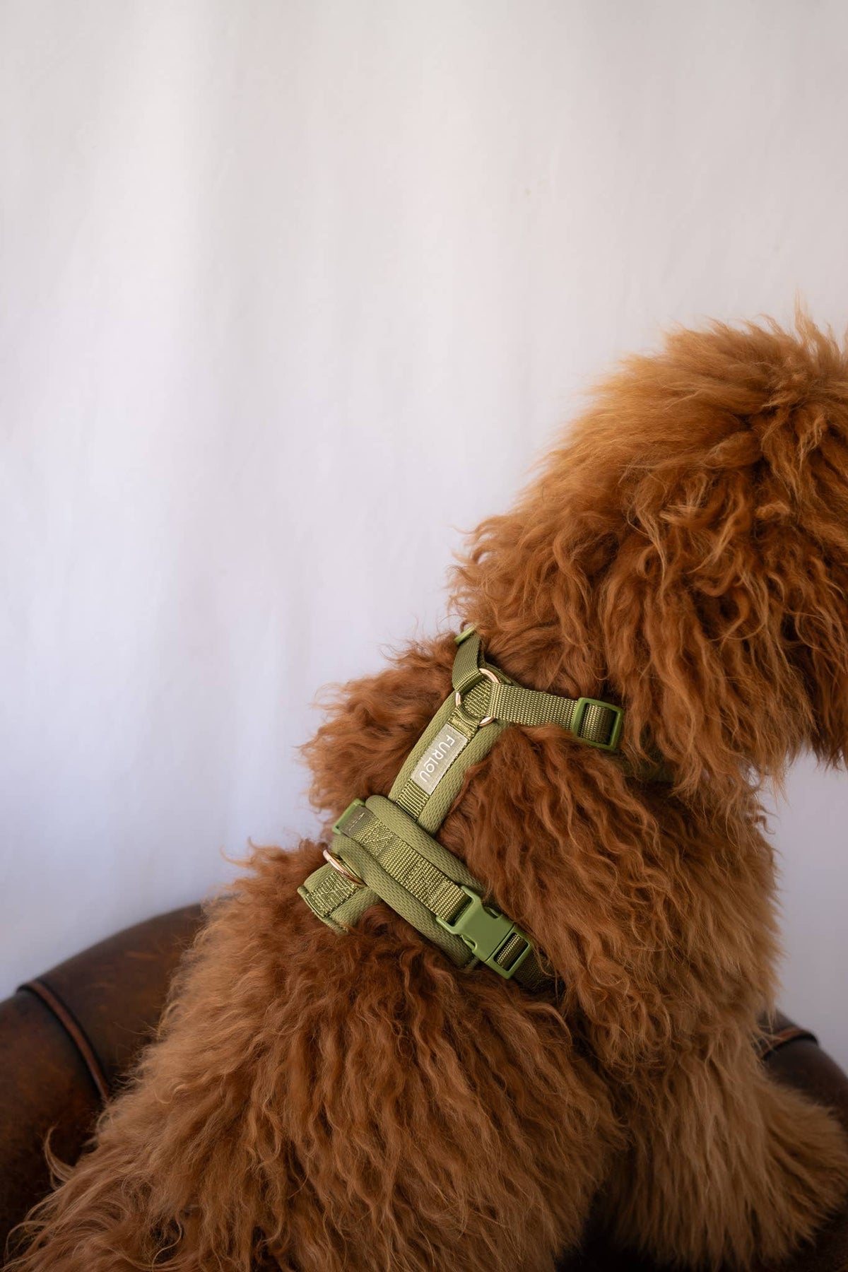 Comfort Harness - Green