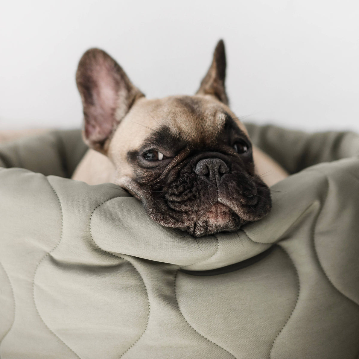 Taart Reversible Dog & Cat Bed - Petite