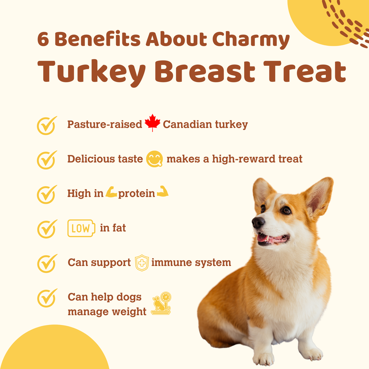Turkey Breast - 90g / 3.2oz